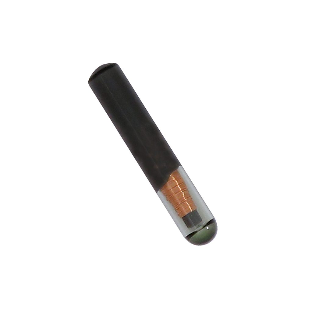 Transponder tpx 1 TPX1