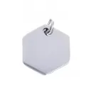 Médaille animaux hexagonales acier inox