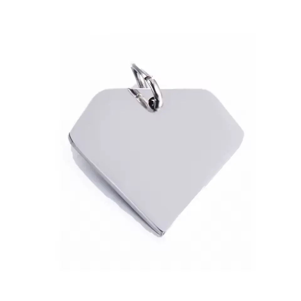 Médaille animaux triangle acier inox