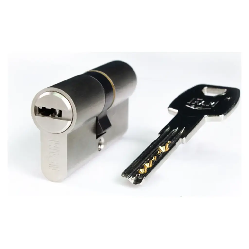 Cylindre sécurité IFAM f6s 30*40 nick. varié réf4100
