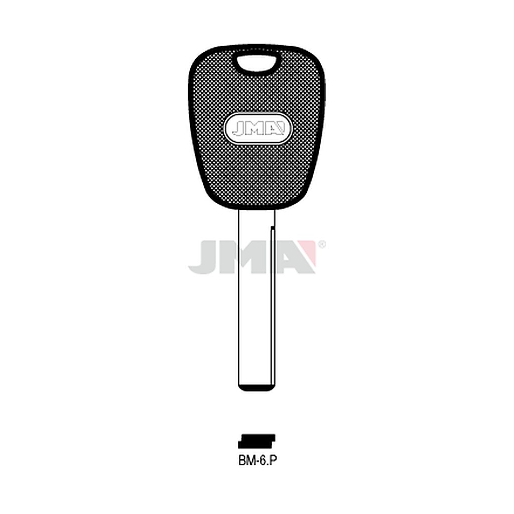 Clé spéciale tête plastique BM-6P