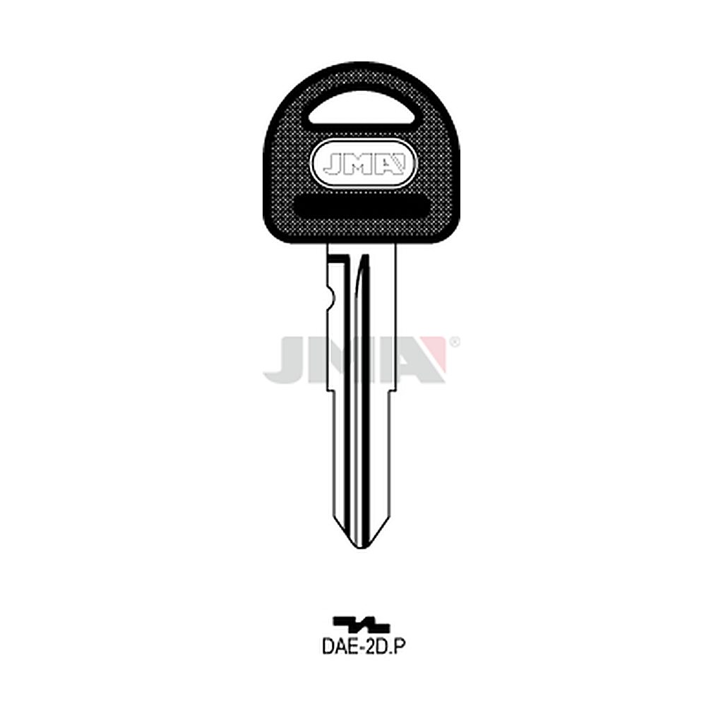 Clé à tête plastique DAE-2DP