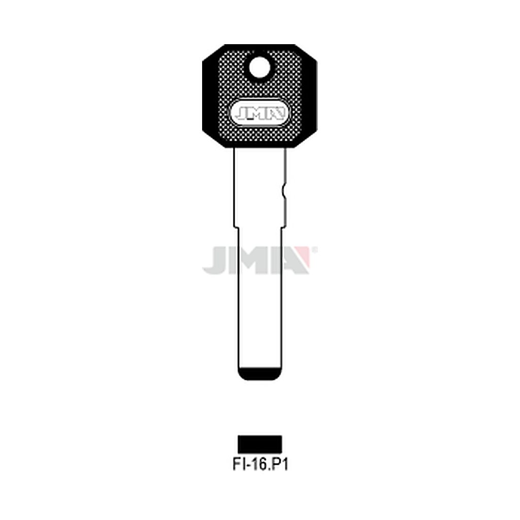 Clé spéciale tête plastique FI-16P1