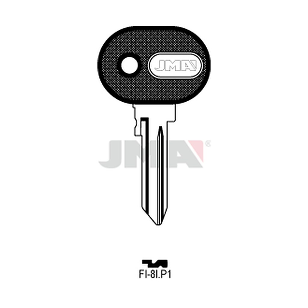 Clé à tête plastique FI-8IP1