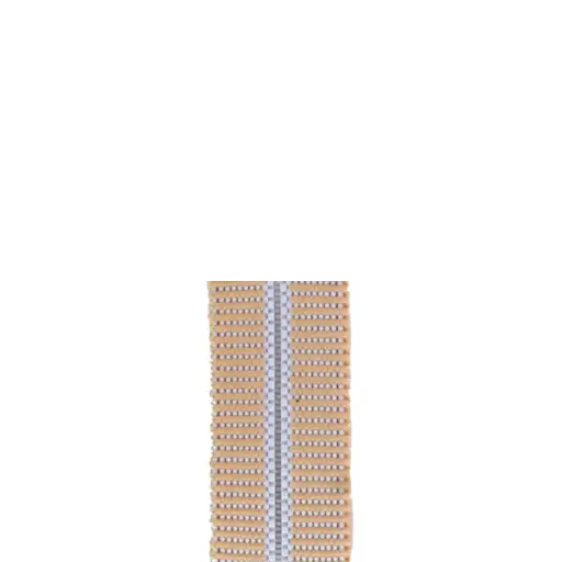 Elastique perforé 20mm le mètre